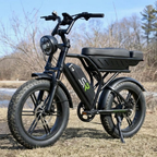 SynkRide VXR Pro Dual battery 130 Miles/1500W