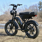 SynkRide VXR Pro Dual battery 130 Miles/1500W