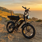 SynkRide VXR Pro Dual battery 130 Miles/1500W