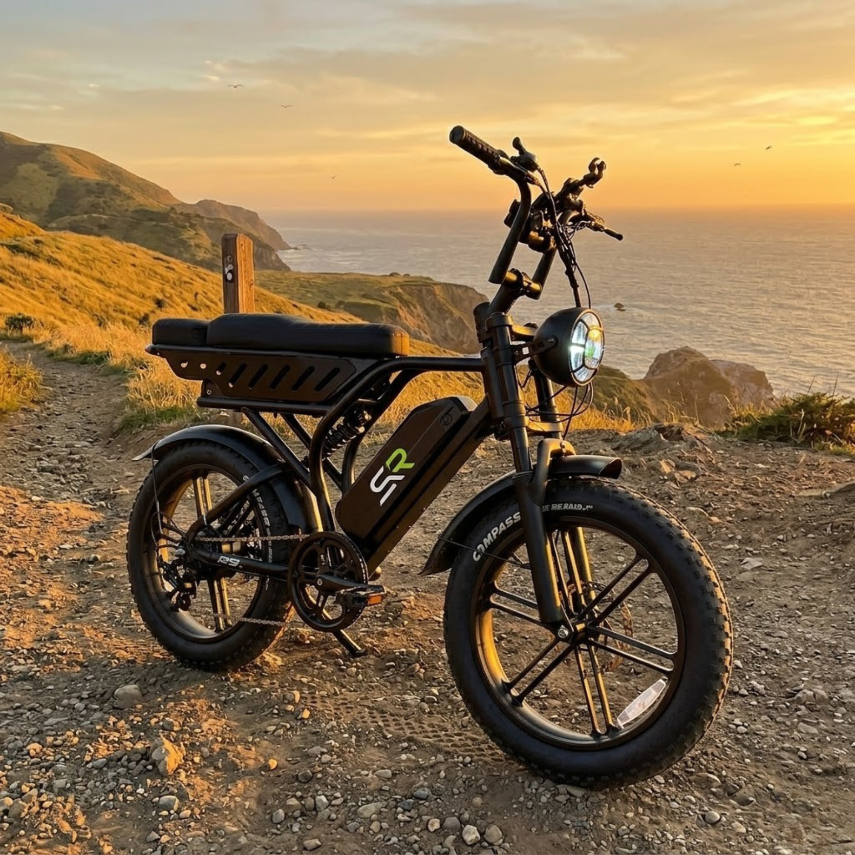 SynkRide VXR Pro Dual battery 130 Miles/1500W