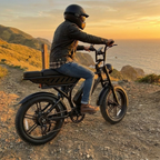SynkRide VXR Pro Dual battery 130 Miles/1500W